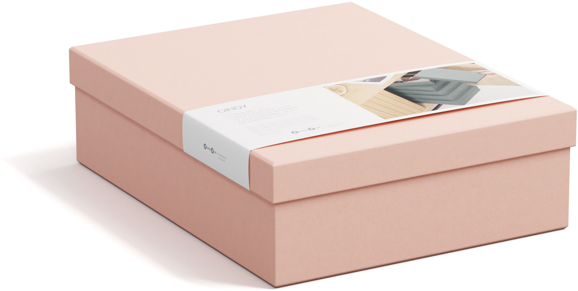 BIGSO BOX OF SWEDEN Boîte de rangement Cindy 325552133 dusty pink 5er-Set