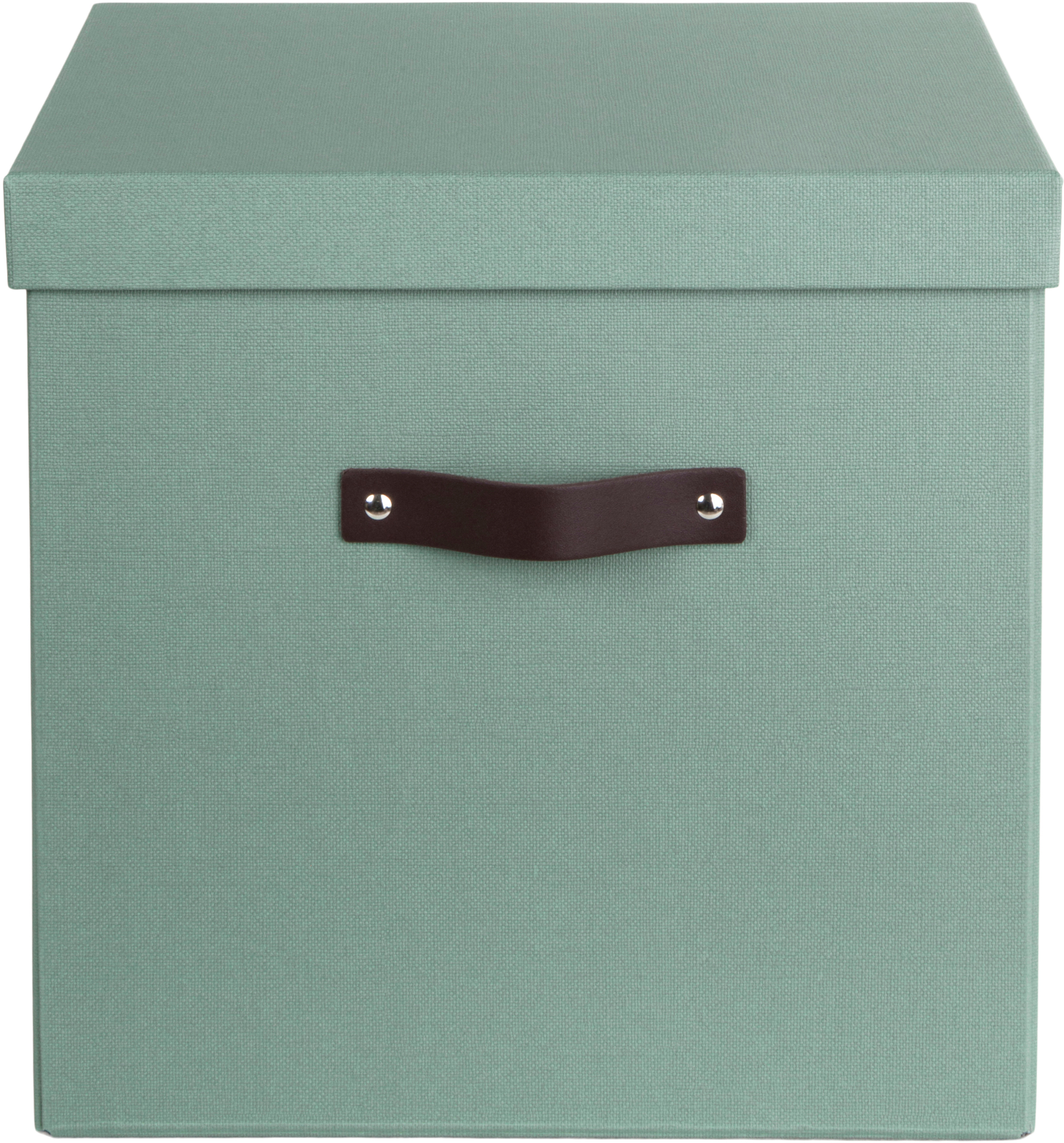 photo BIGSO BOX OF SWEDEN Boîte de rangement Logan 9901C1649L01 vert menthe 31.5x31x31.5cm
