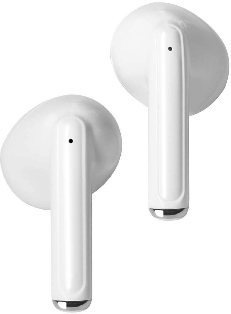 photo de l'article 310420