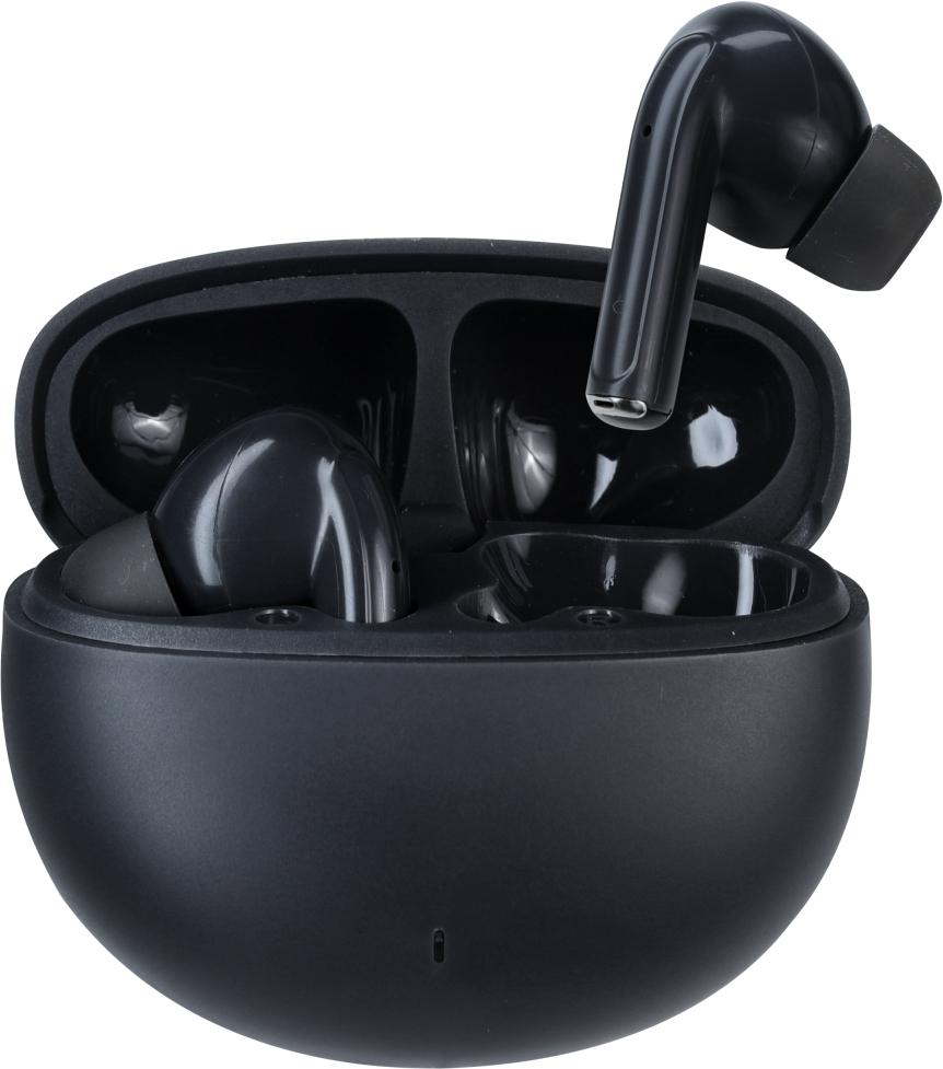 photo de l'article 310427