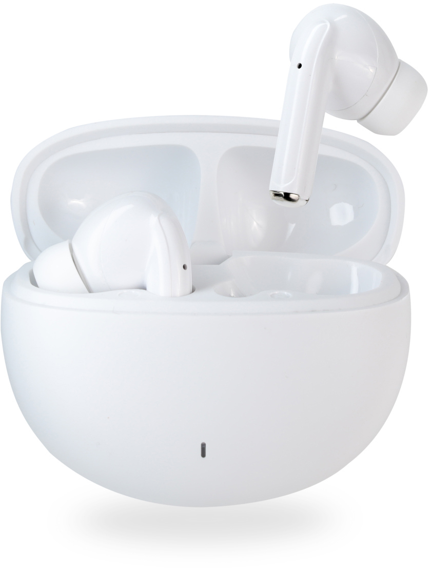 photo de l'article 310428