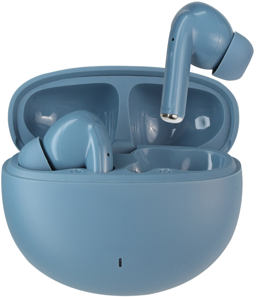 photo de l'article 310430