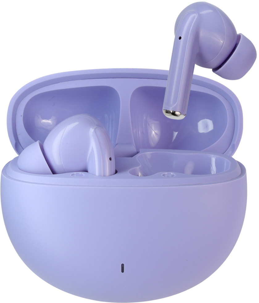 photo de l'article 310431