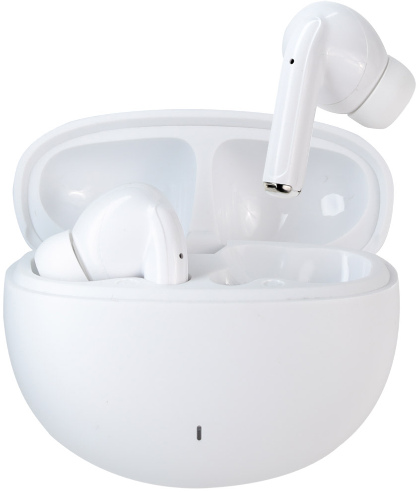 photo de l'article 310432