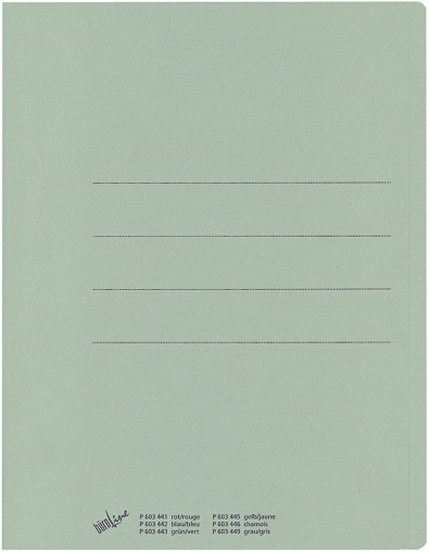 photo BÜROLINE Chemise Recycling A4 25040030PE1U vert 240g/m2 100 pcs.