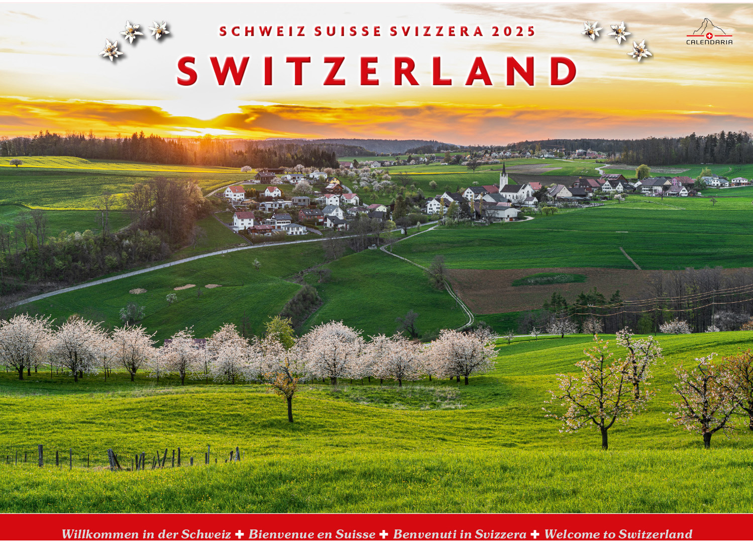 CALENDARIA Calendrier 2025 783036204499 Schweiz-Suisse ML 40x31cm
