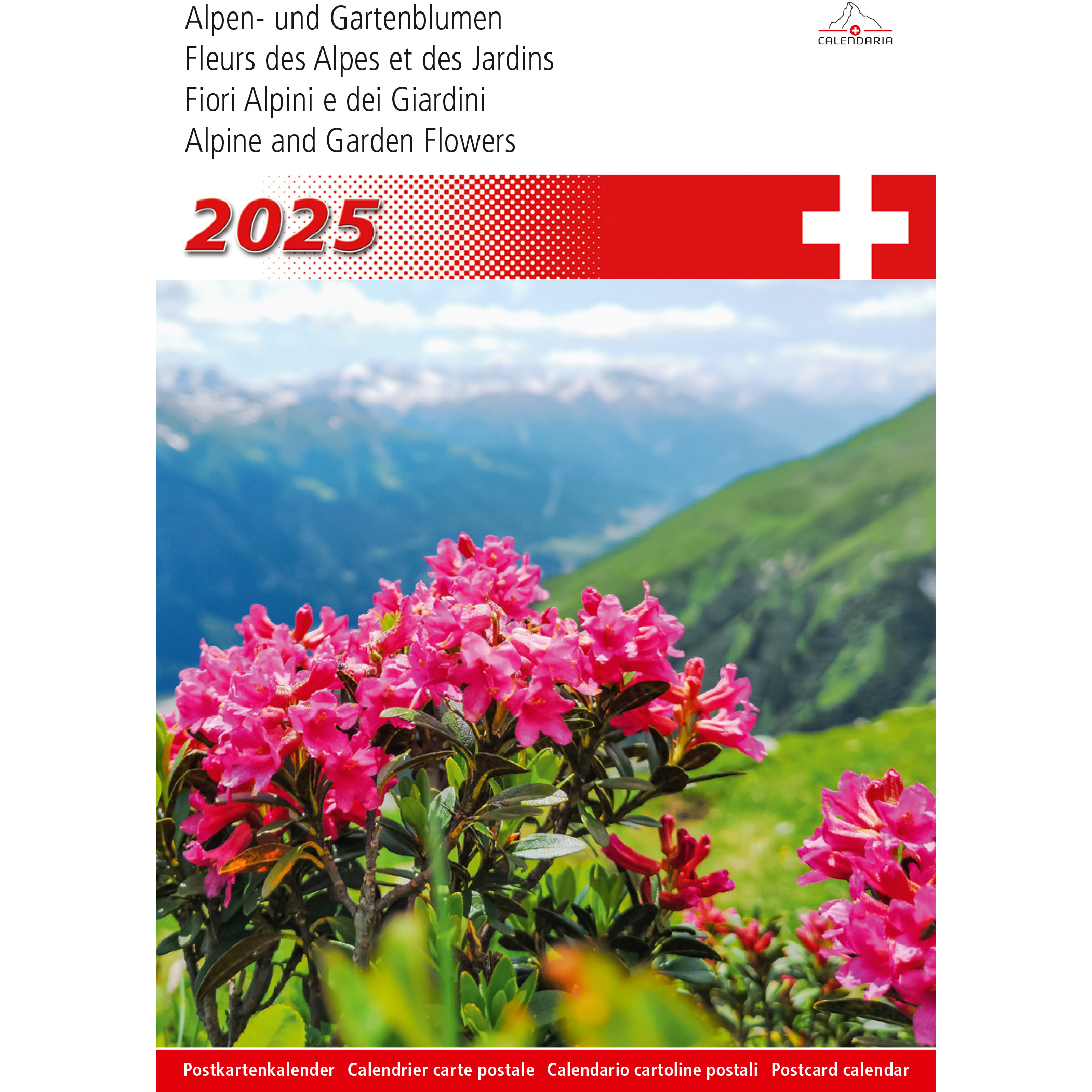CALENDARIA Calendrier 2025 783036204819 Alpenblumen ML 14.8x22cm