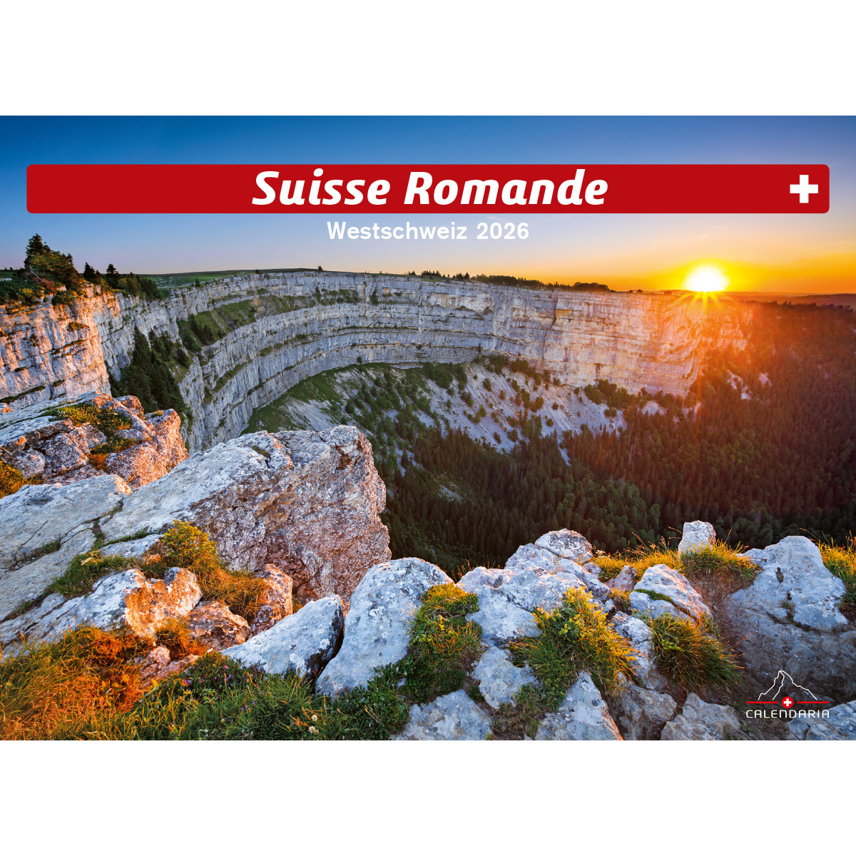 photo de l'article 440725