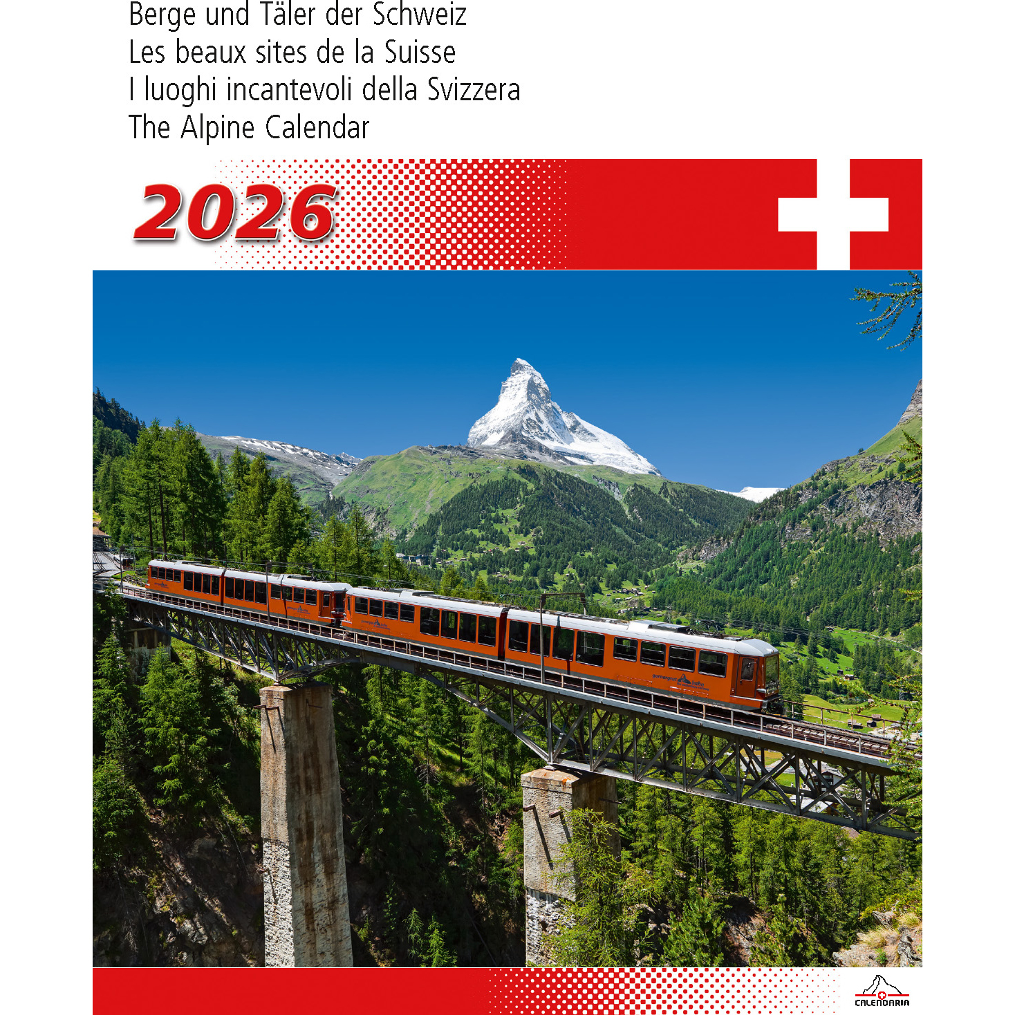 photo de l'article 440753