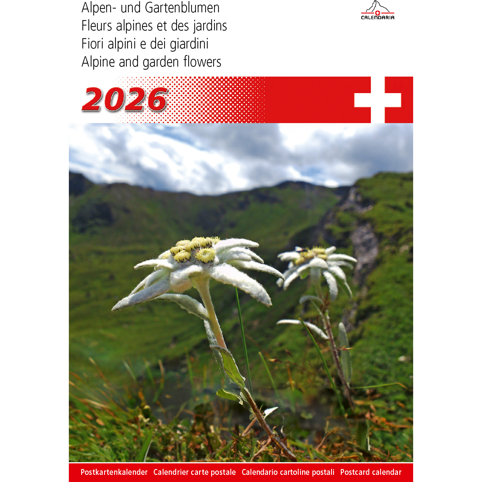 photo CALENDARIA Calendrier 2026 9783036205397 Alpenblumen ML 14.8x22cm