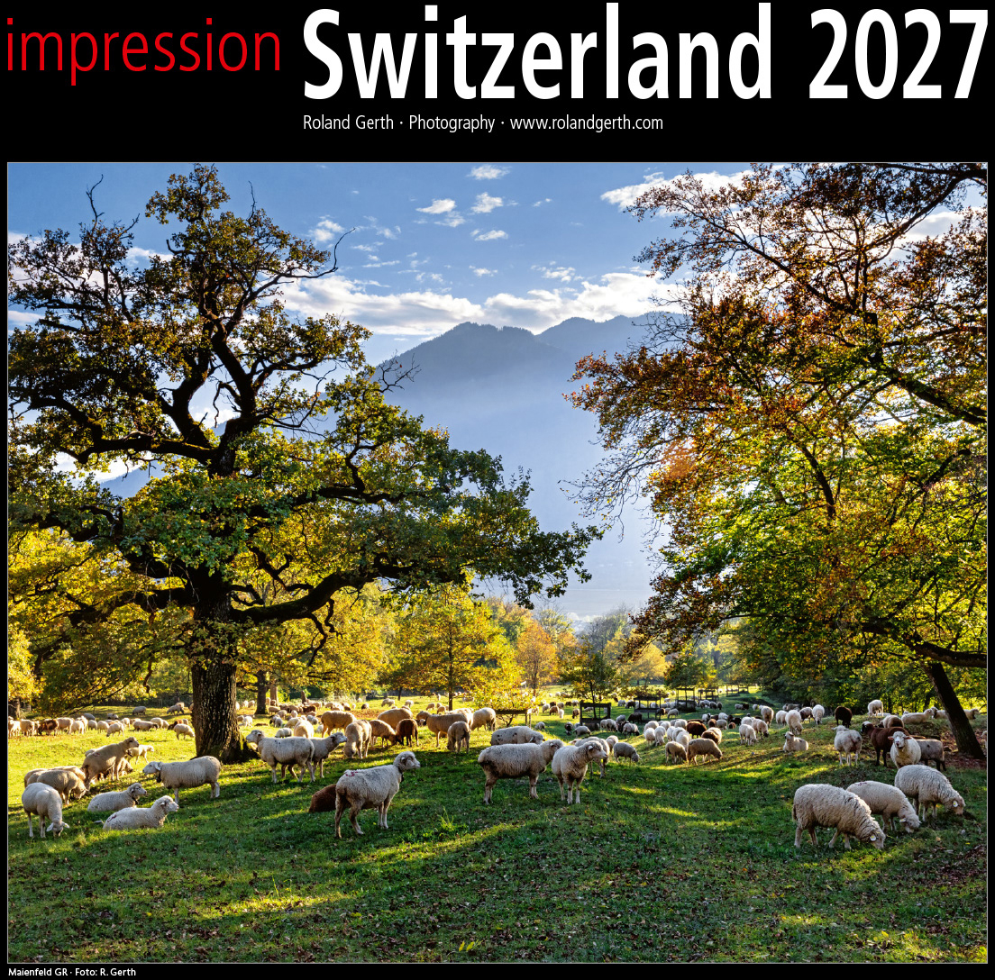 photo de l'article 440752