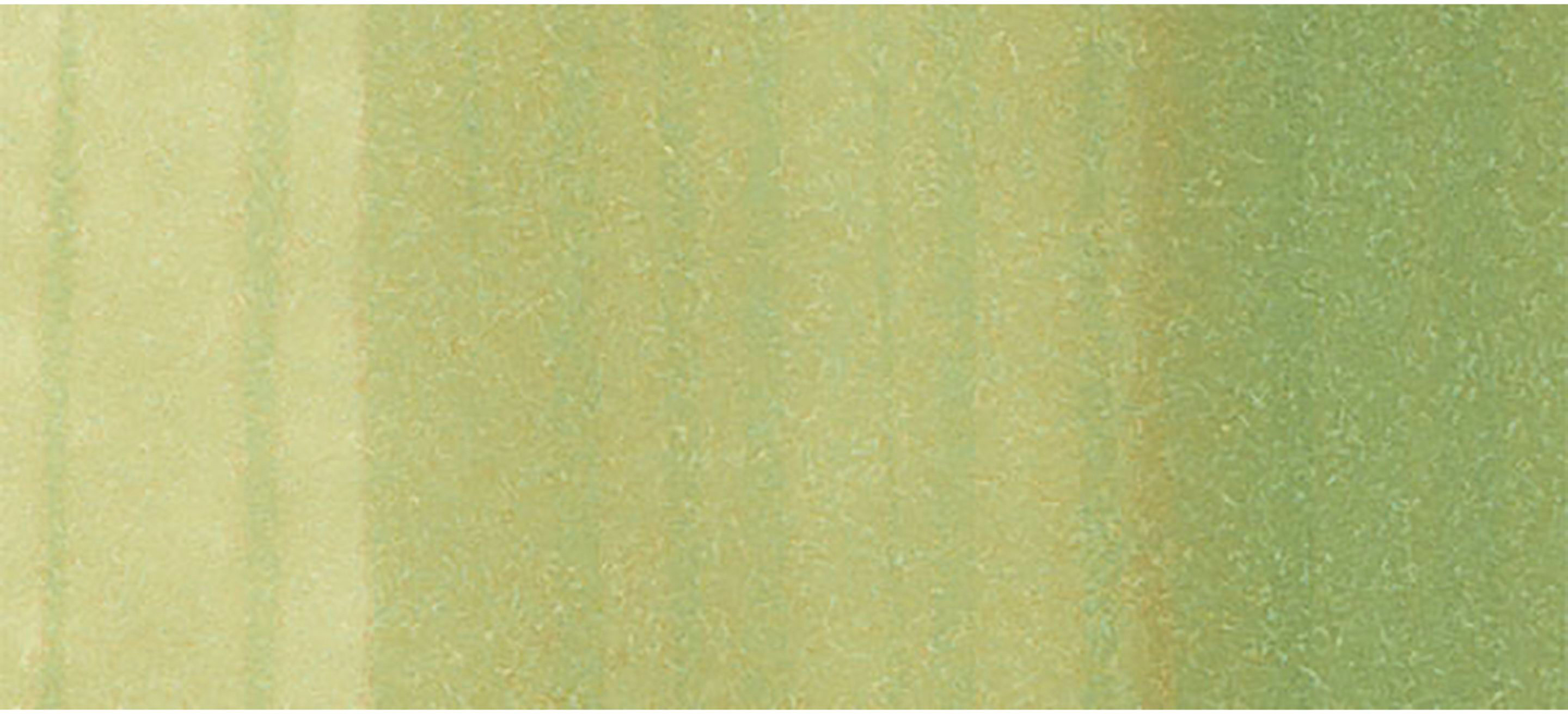 COPIC Marker Classic 20075215 G82 - Spring Dim Green