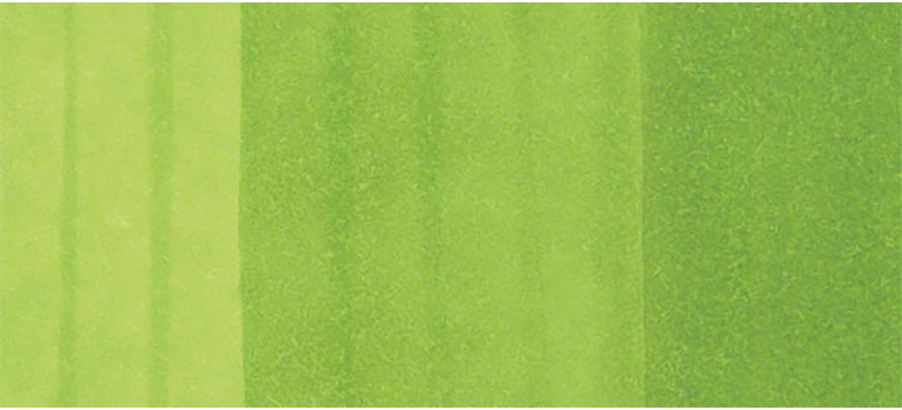 COPIC Marker Sketch 21075201 YG25 - Celadon Green
