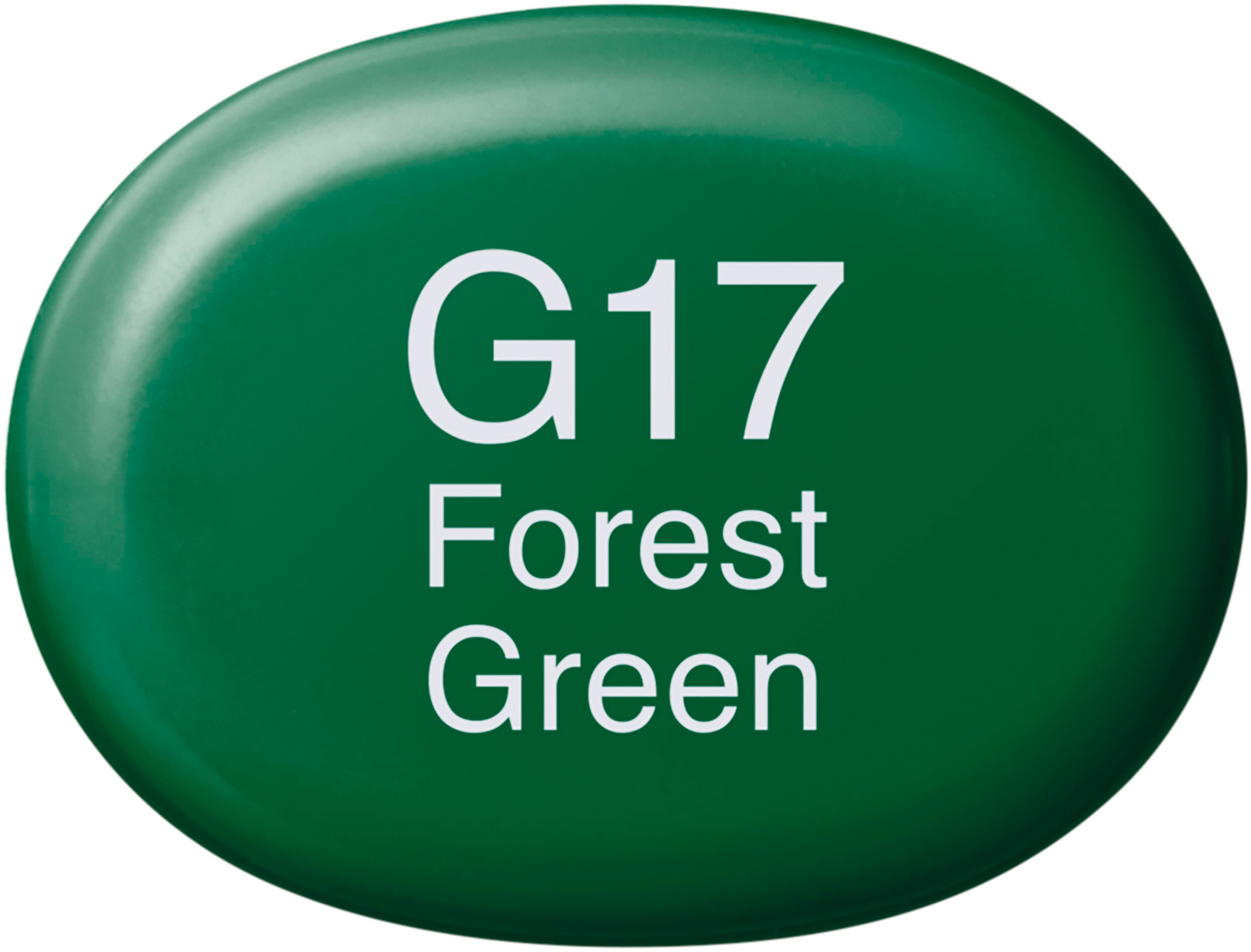 COPIC Marker Sketch 2107523 G17 - Forest Green