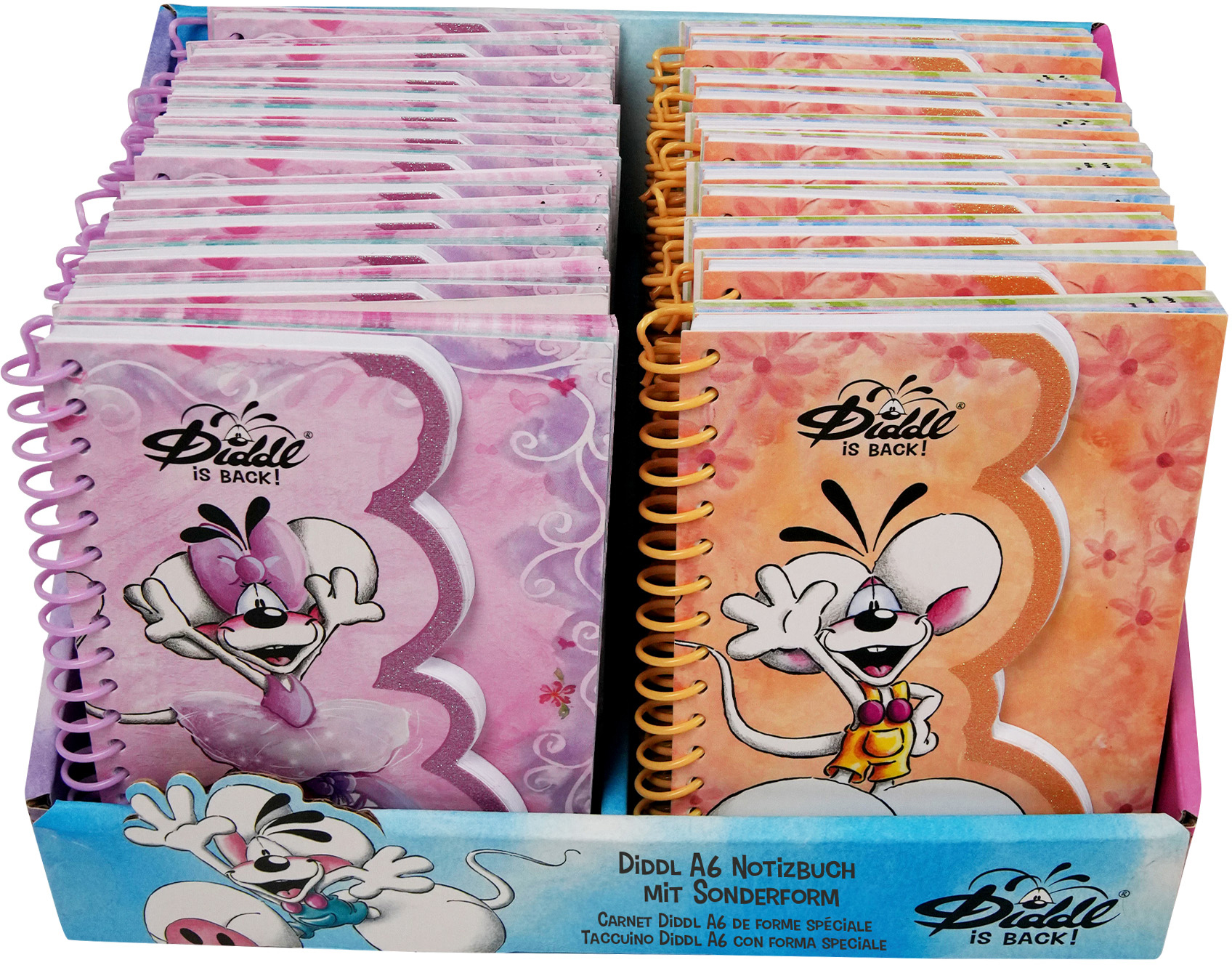 photo DIDDL Carnet de forme originale A6 23557 assortis