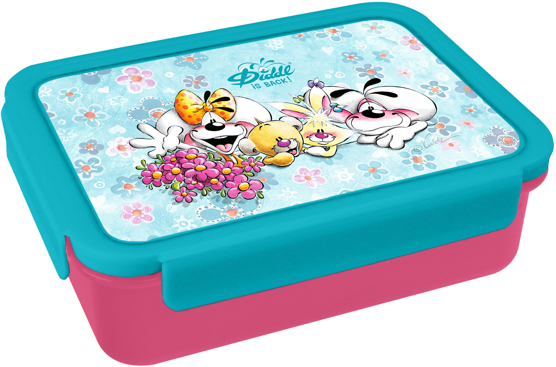 photo DIDDL Lunchbox à compartiments 23813 bleu