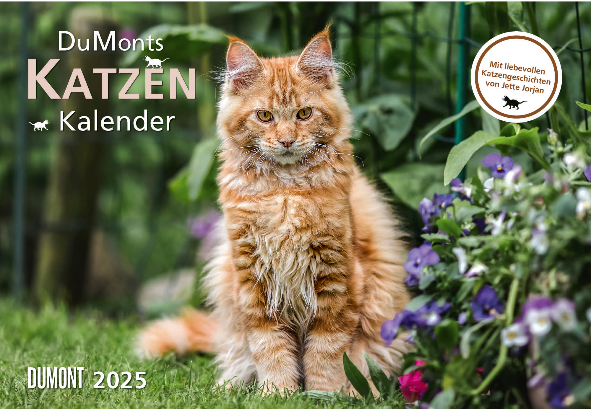 DUMONT Calendrier 2025 205241 Katzen DE 42x29cm