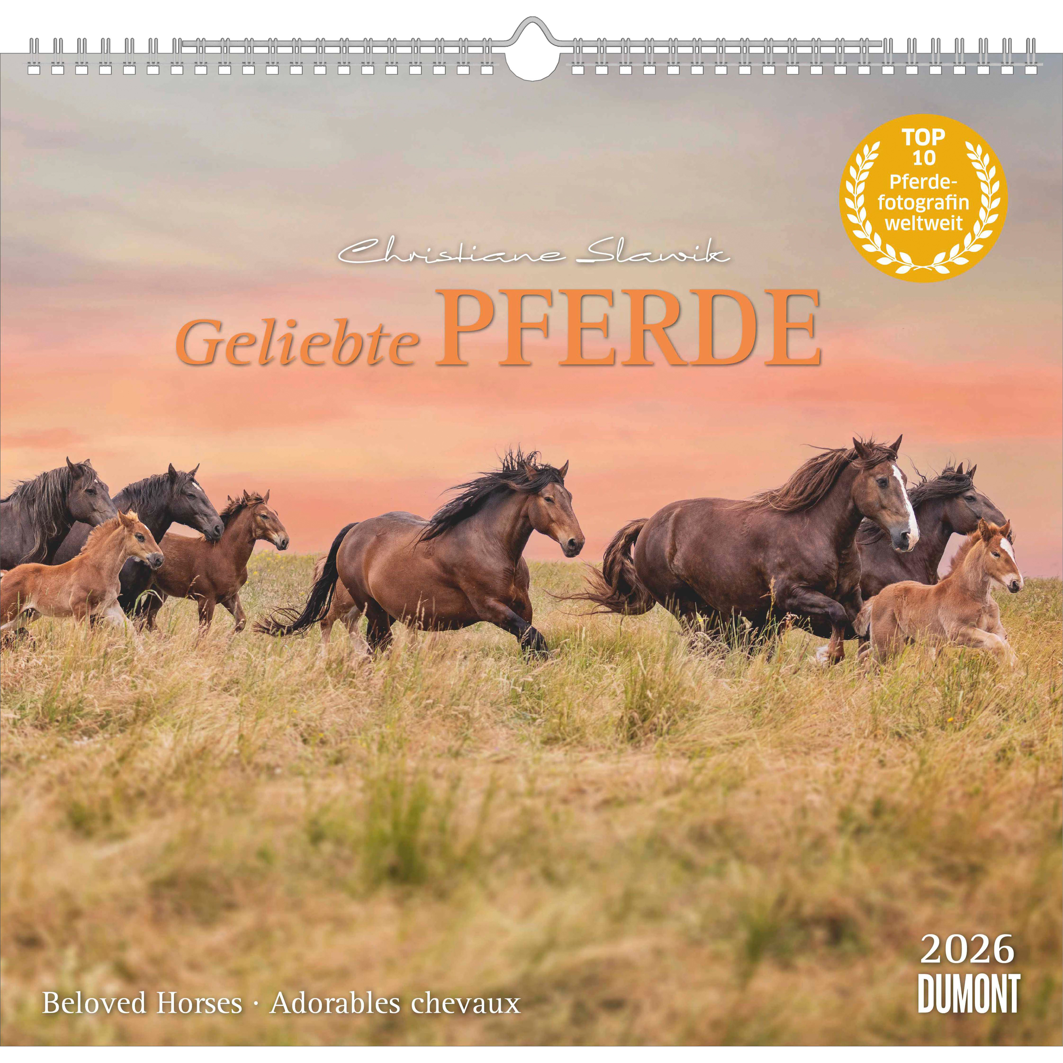 photo de l'article 440848