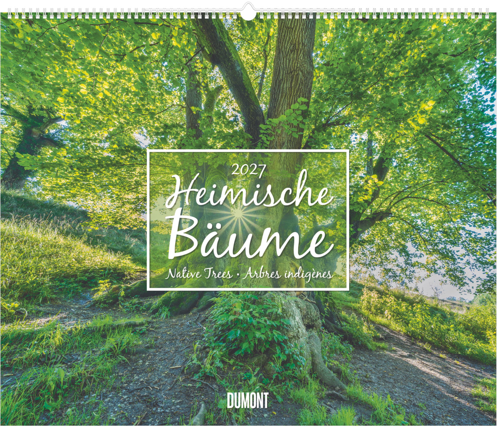 photo de l'article 440838