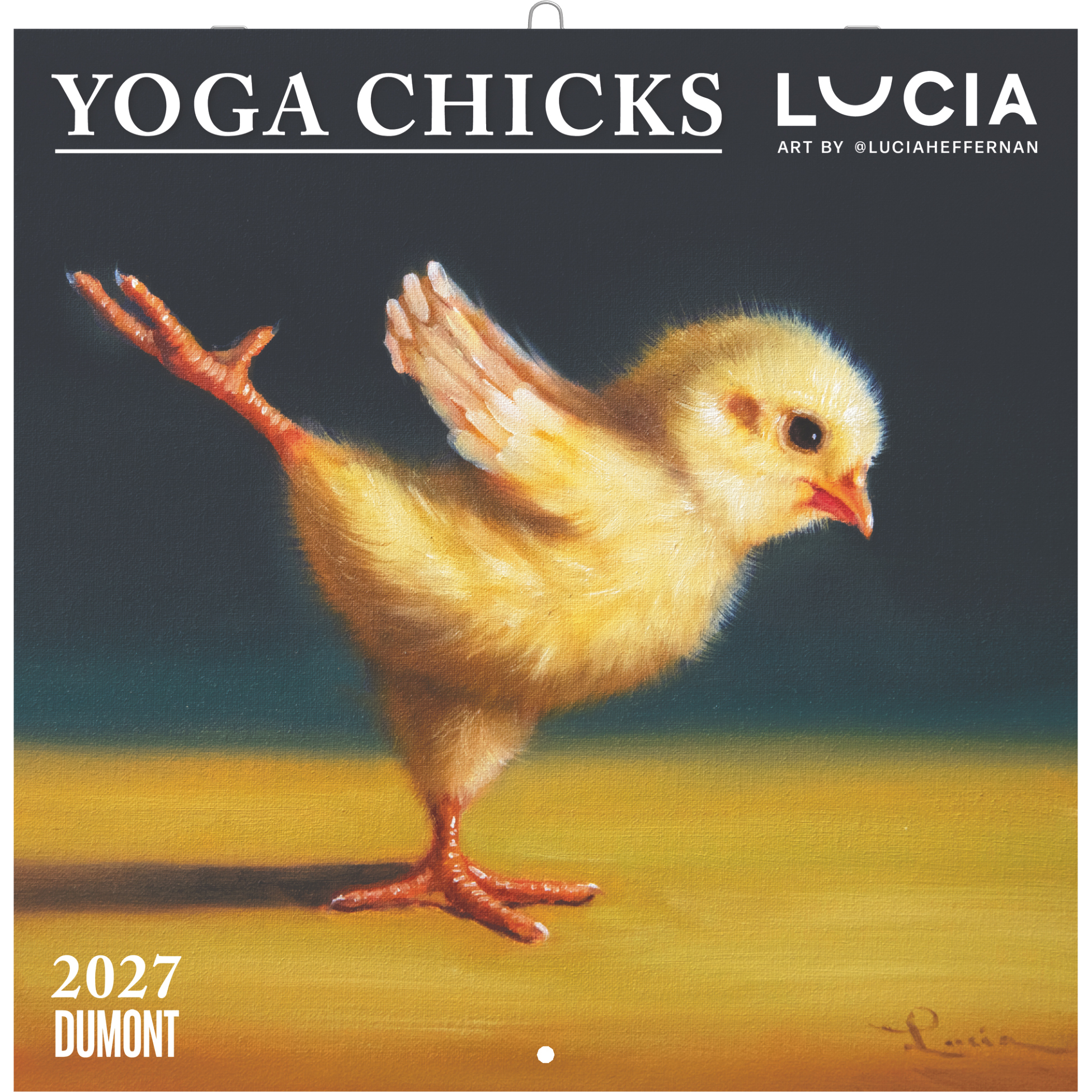 photo DUMONT Calendrier 2027 261558 Yoga Chicks 30x30cm
