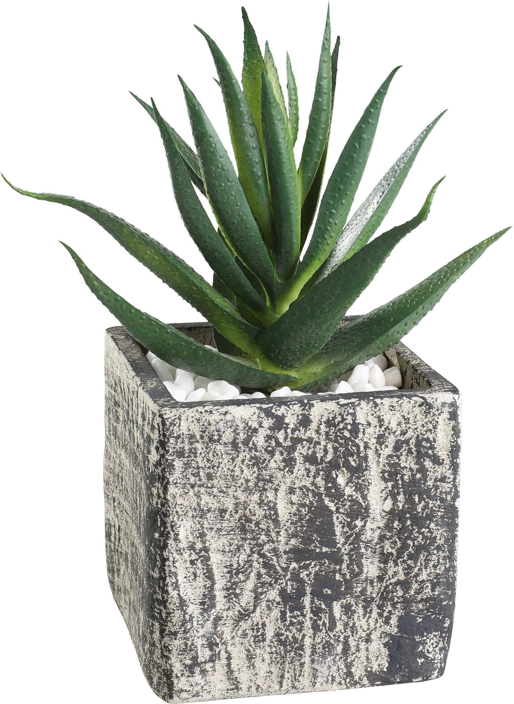 photo EGLO Plante artificielle 12cm 428008 vert, en pot