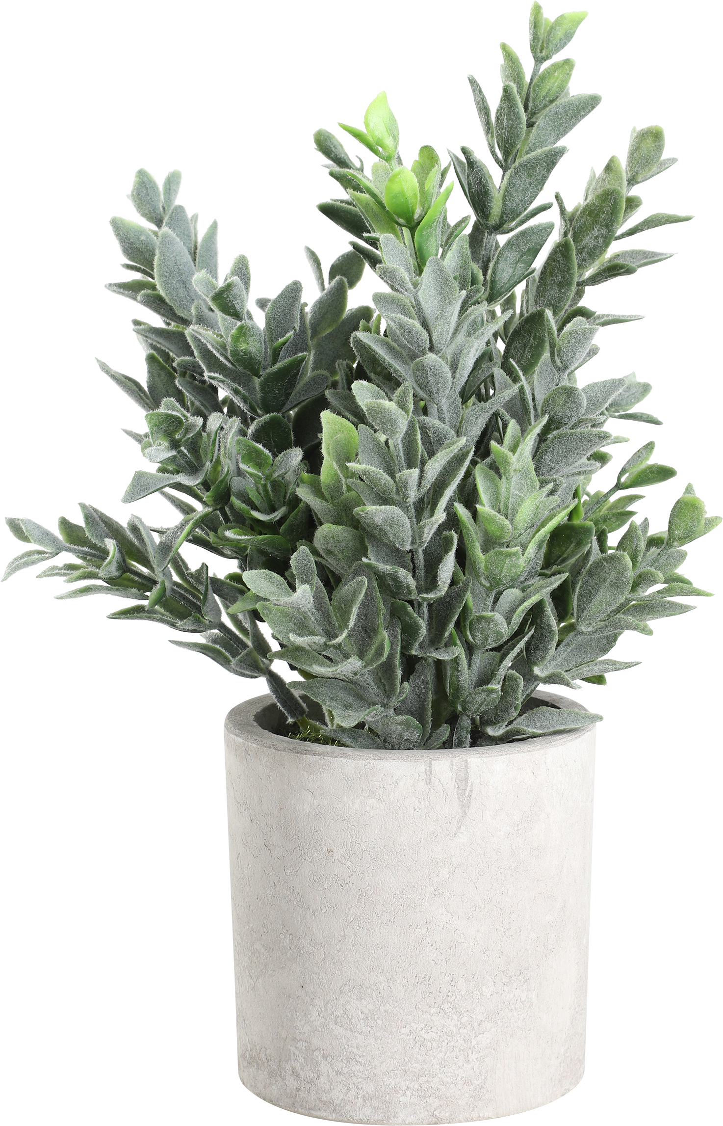 photo EGLO Plante artificielle 22cm 428027 vert, en pot