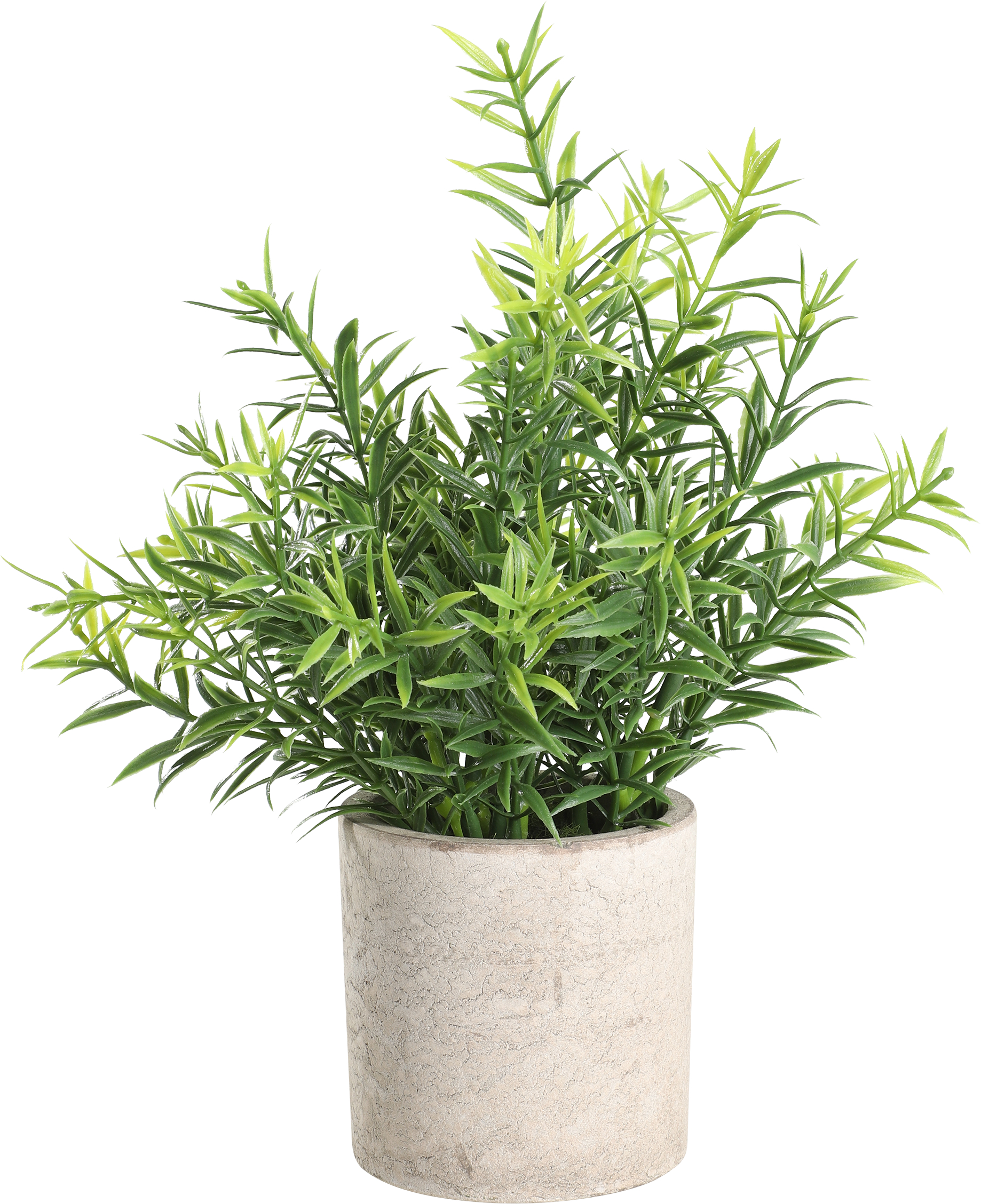 photo EGLO Plante artificielle 22cm 428029 vert, en pot