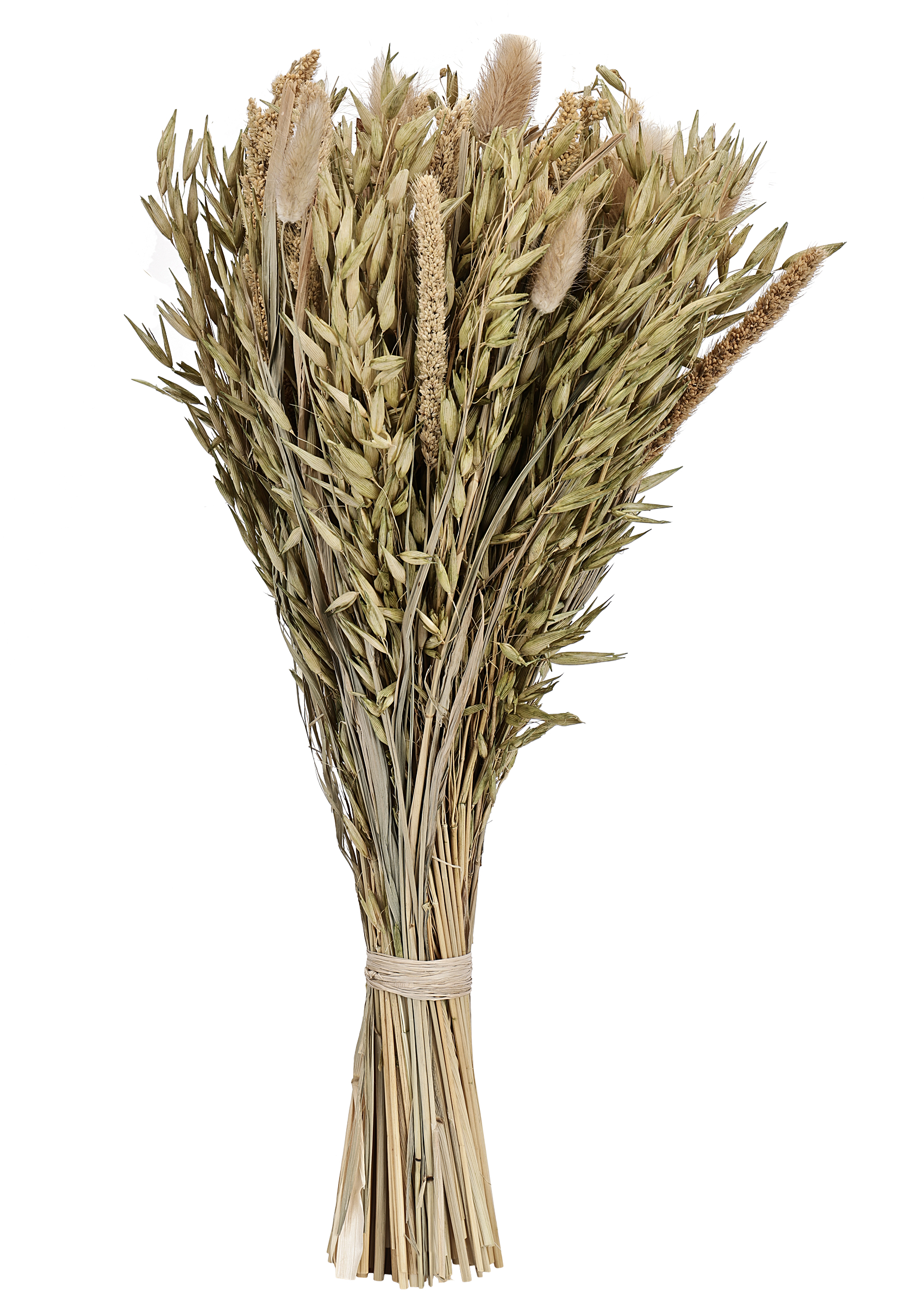 photo EGLO Fleur séchée 45cm 428048 beige