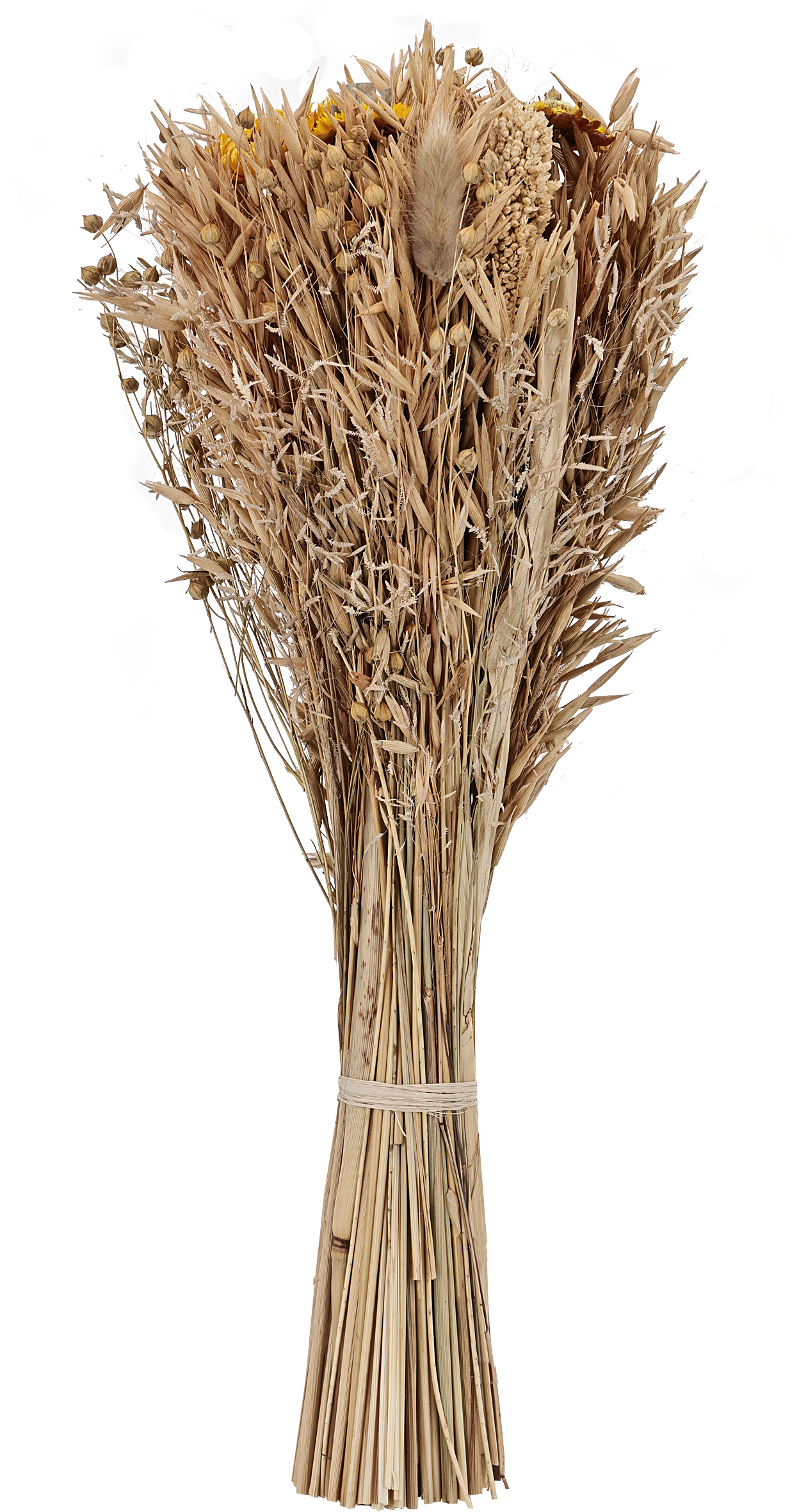 photo EGLO Fleur séchée 45cm 428049 beige