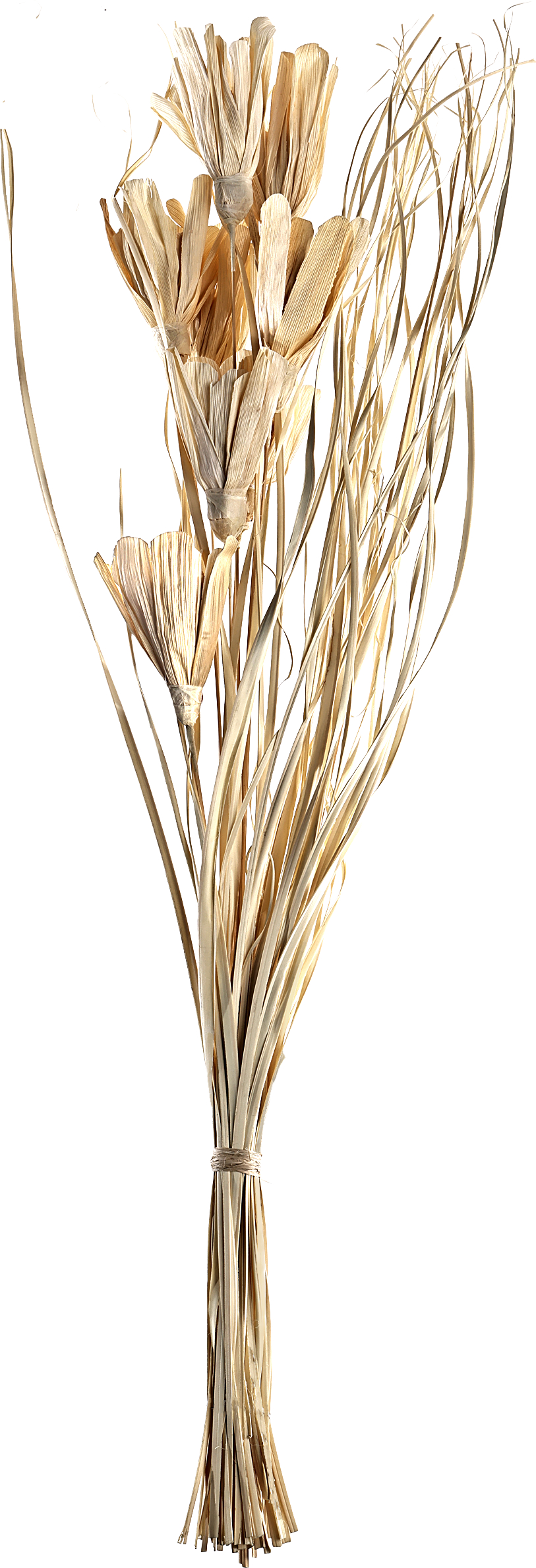 photo EGLO Fleur séchée 100cm 428051 beige