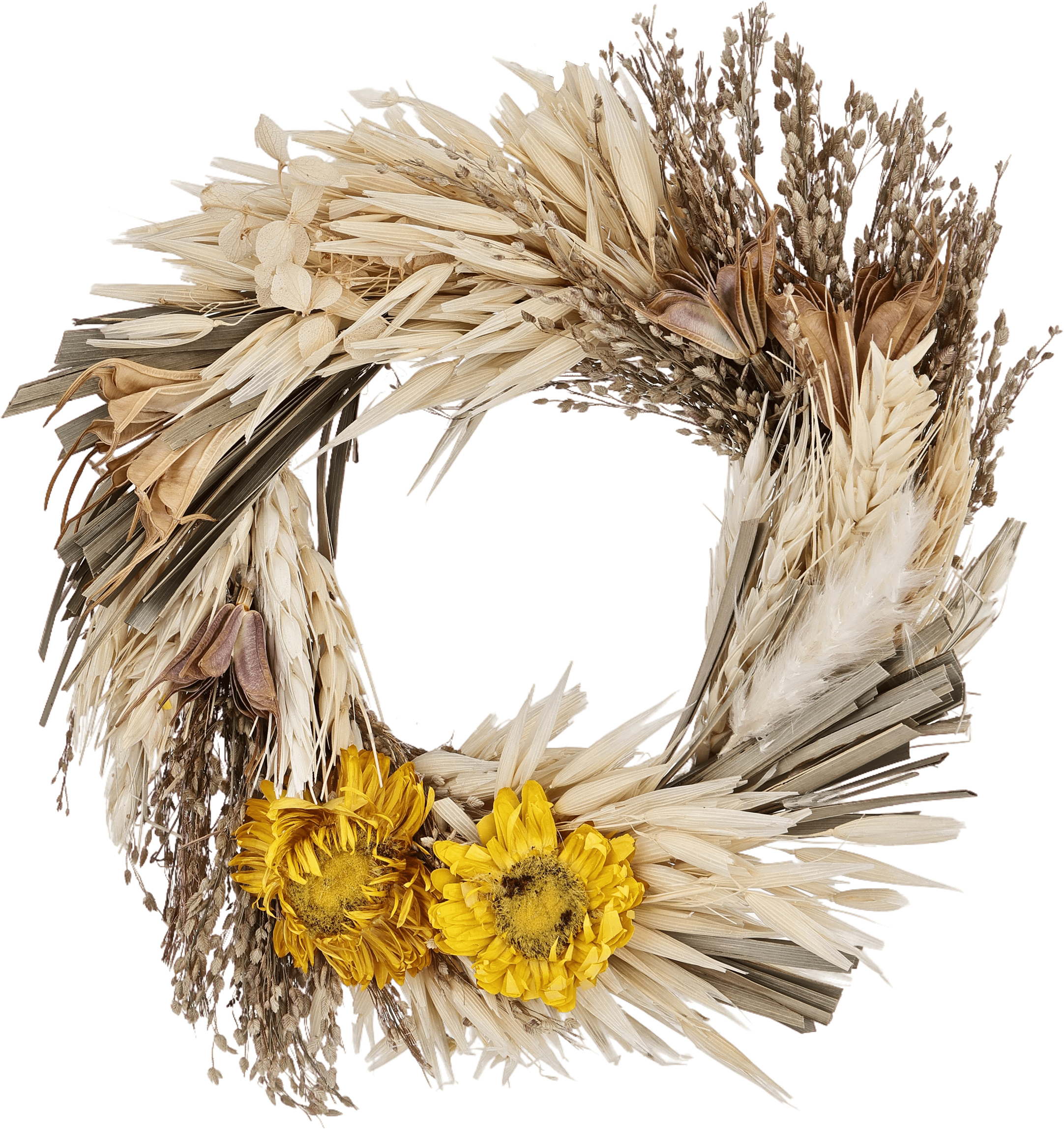 photo EGLO Fleurs séchées MINALIN Ø16cm 428075 beige, couronne