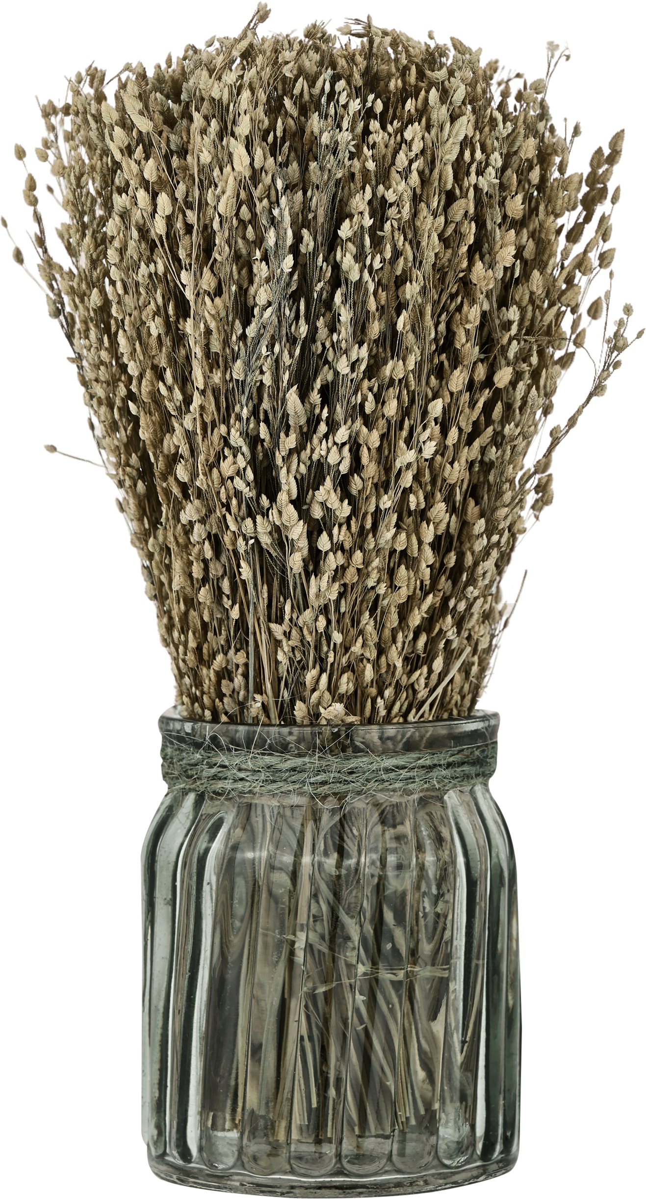 photo EGLO Fleurs séchées CARAQ 18cm 428077 marron, avec vase