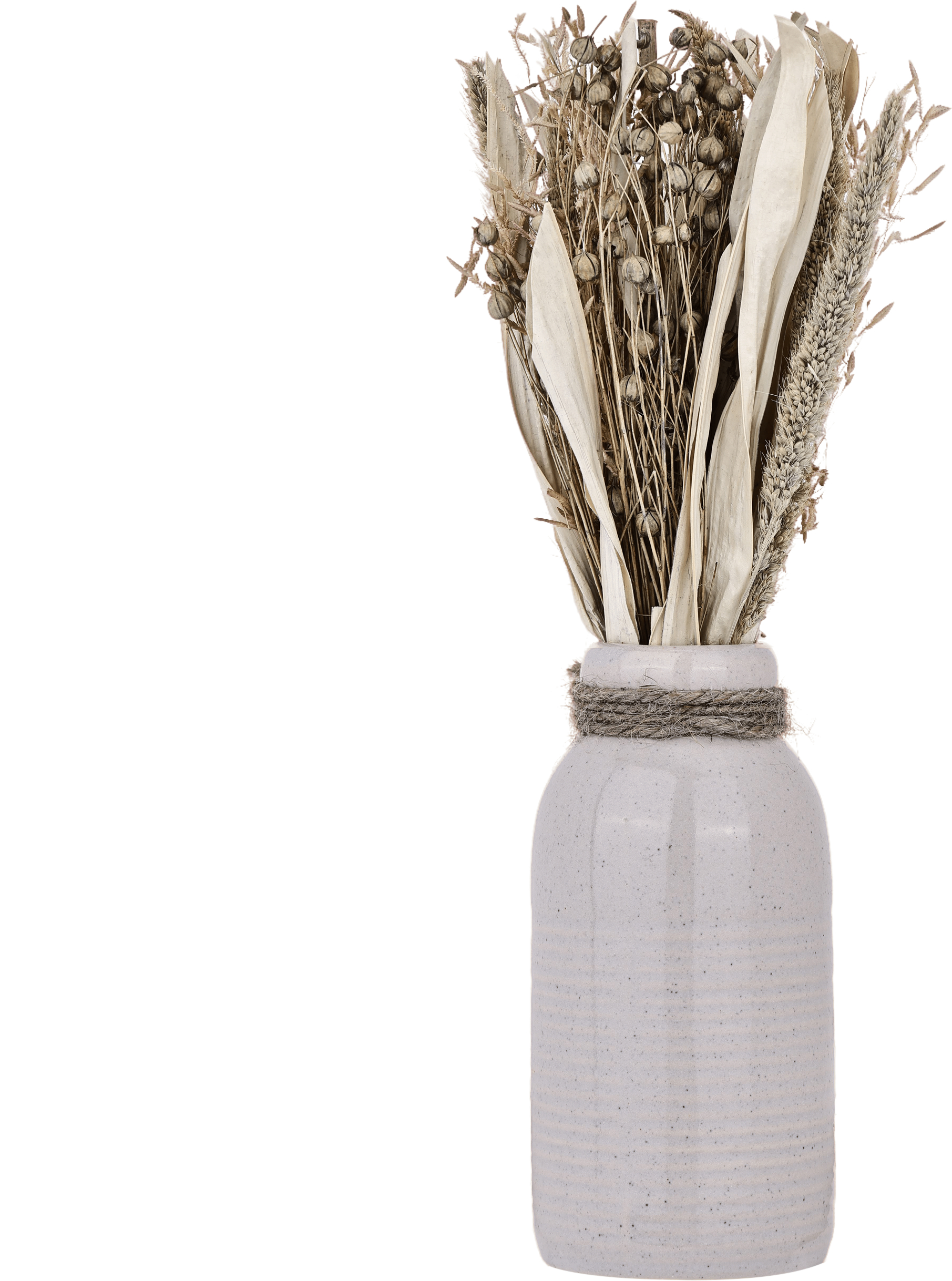 photo EGLO Fleurs séchées CARAQ 28cm 428079 beige, avec vase