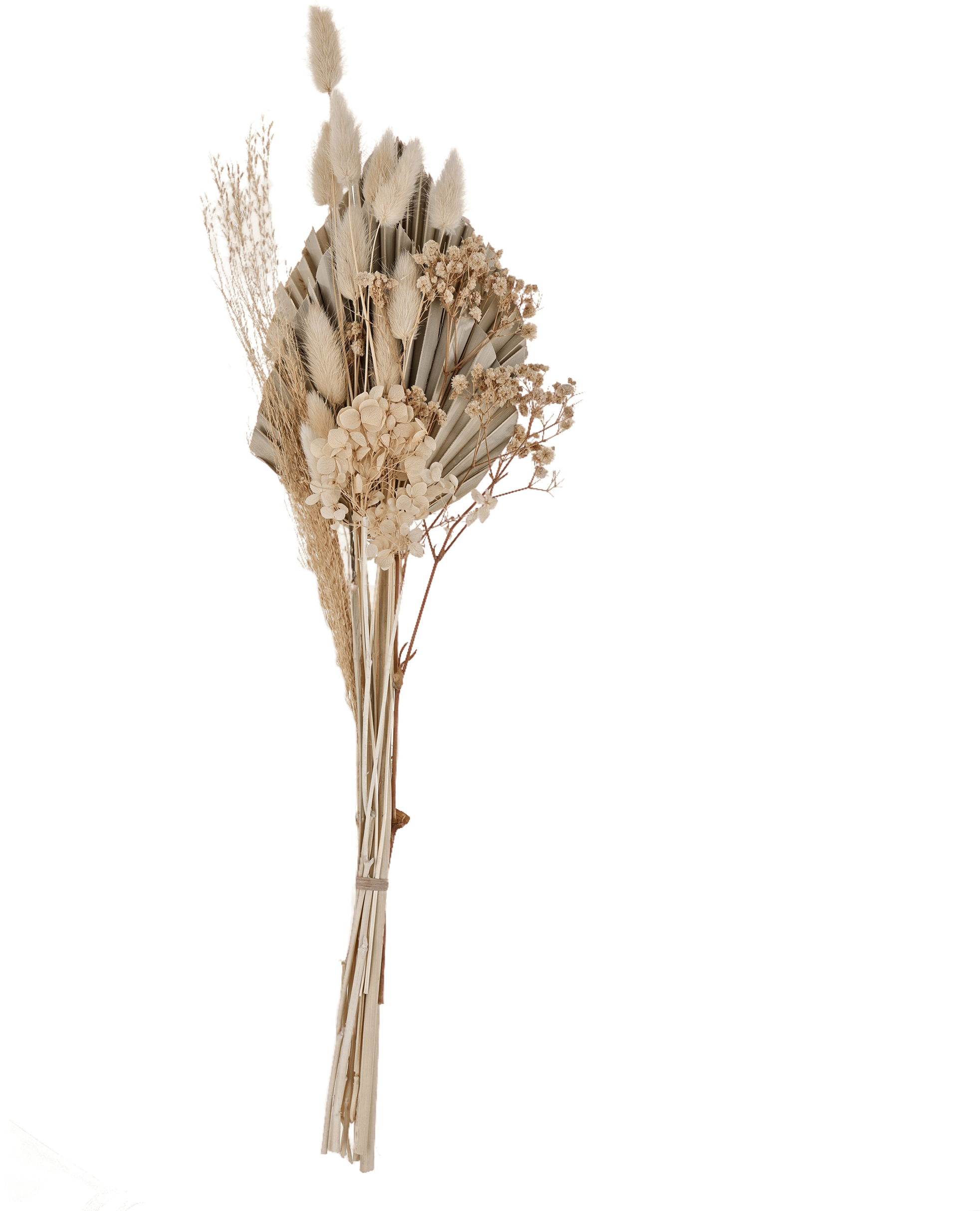 photo EGLO Fleurs séchées CARAQUET 55cm 428084 beige, bouquet