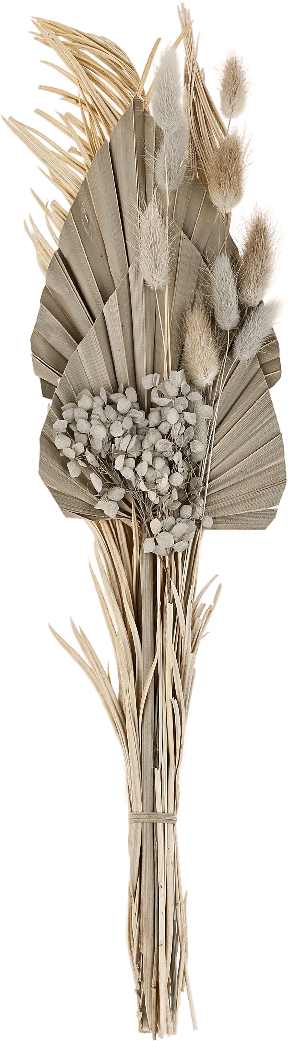 photo EGLO Fleurs séchées CARAQUET 55cm 428085 beige, bouquet