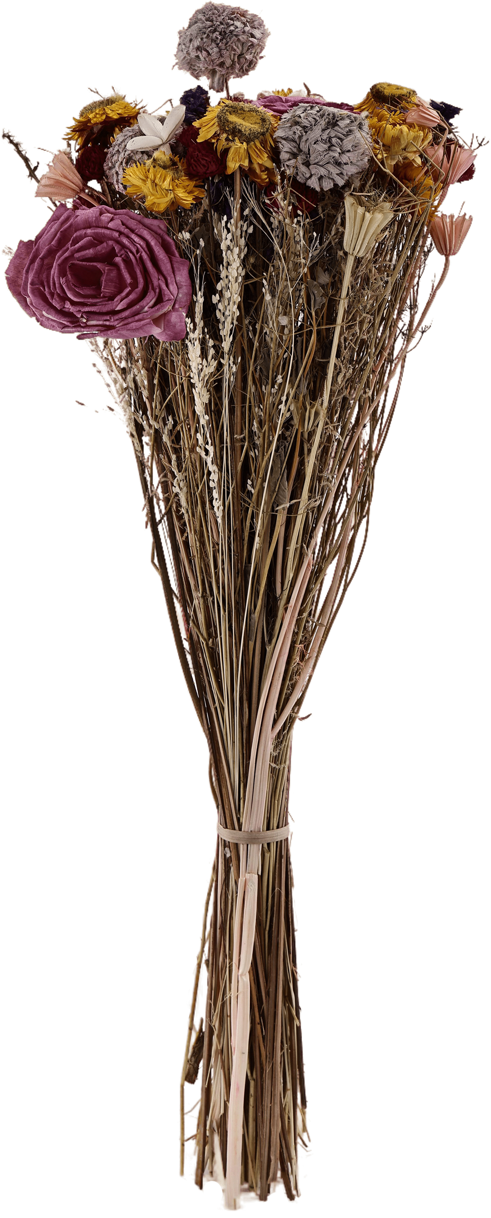 photo EGLO Fleurs séchées CARAQUET 60cm 428087 marron, bouquet