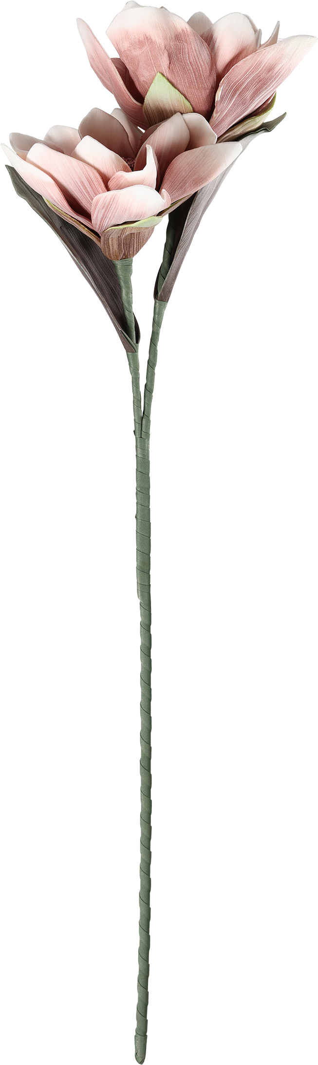 photo EGLO Fleur artificielle MOLAVE 428114 rose
