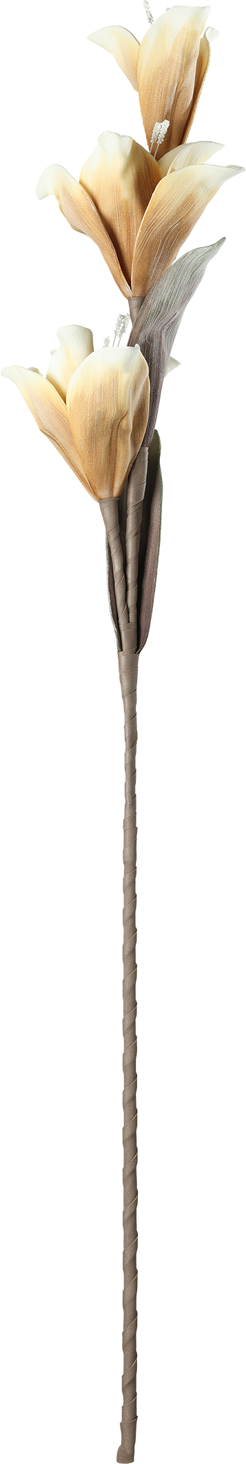 photo EGLO Fleur artificielle MOLAVE 428116 marron