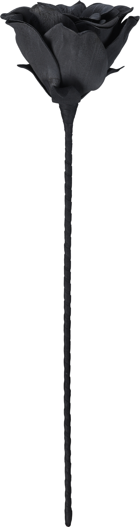 photo EGLO Fleur artificielle MOLAVE 428131 noir
