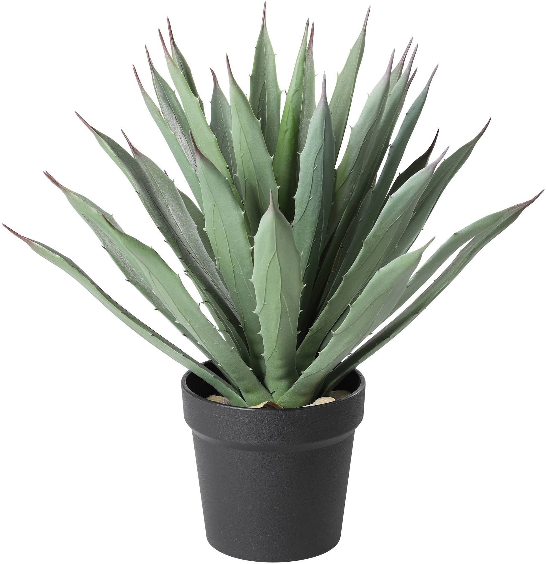photo EGLO Plante artificielle 36.5cm 428351 vert, en pot