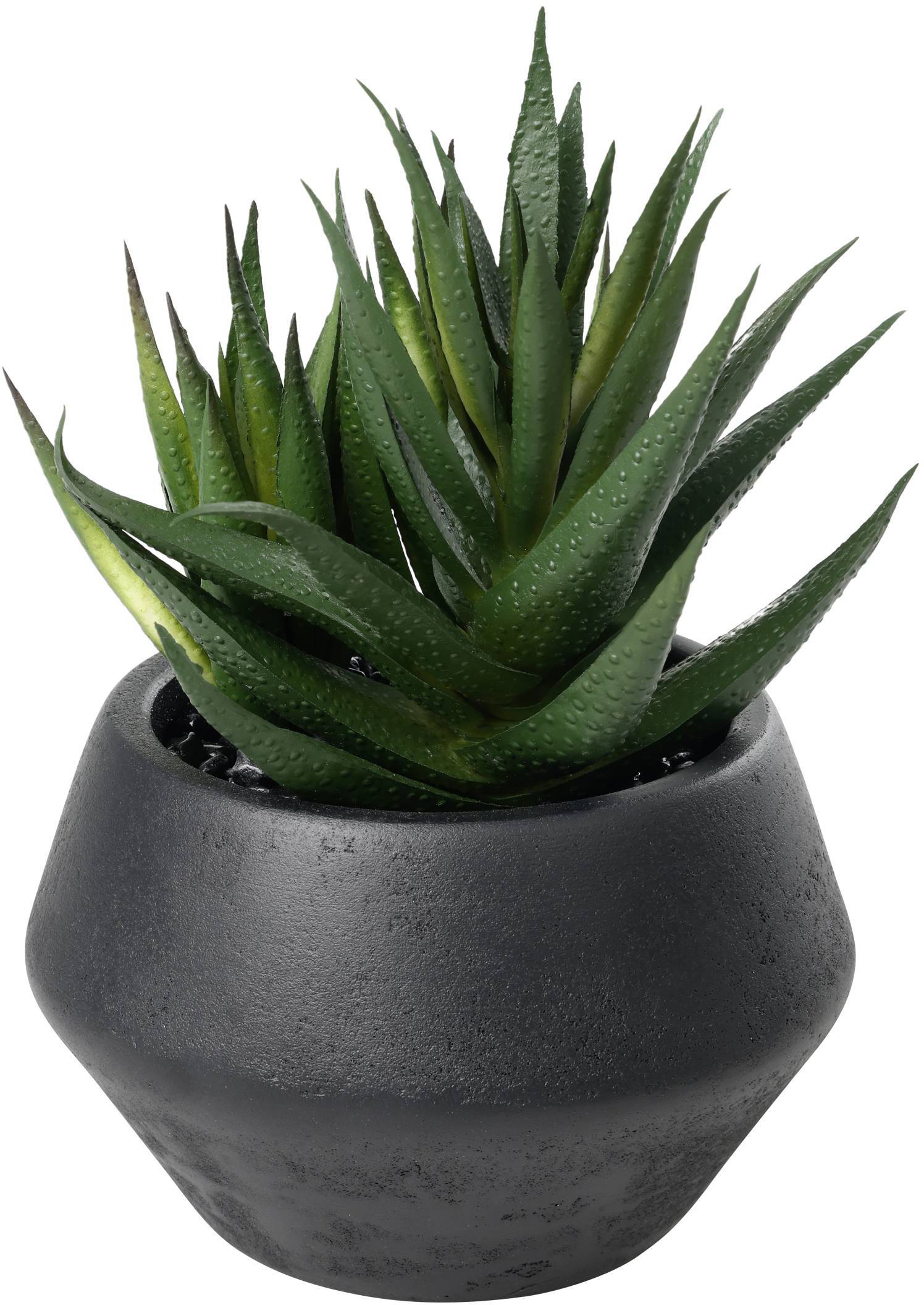 photo EGLO Plante artificielle 17.5cm 428491 vert, en pot
