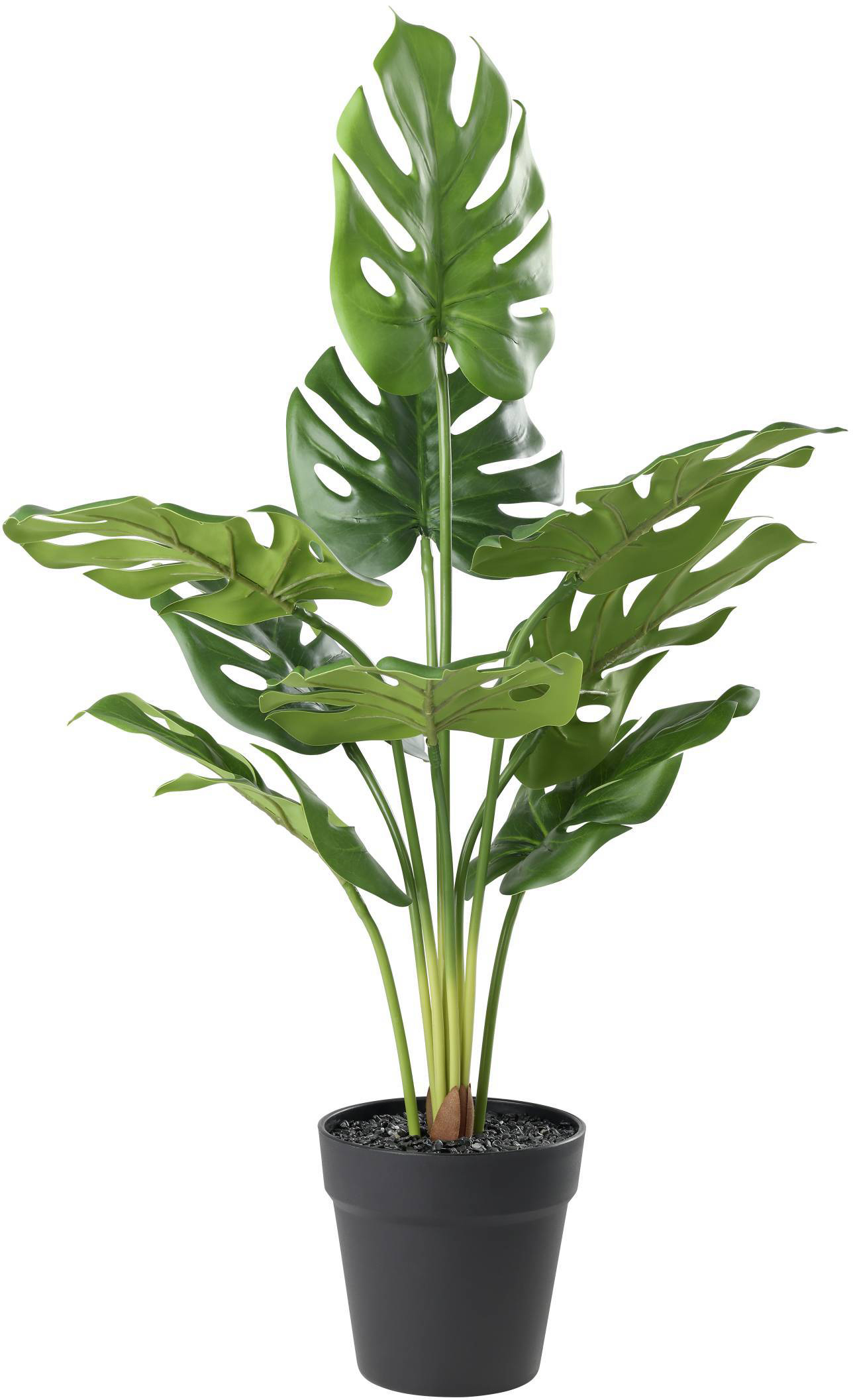 photo EGLO Plante artificielle 64cm 428495 vert, en pot