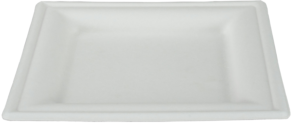 EJS Assiette en bagasse 16x16cm 3142.2008 50 blance 50 pcs. 50 blance 50 pcs.