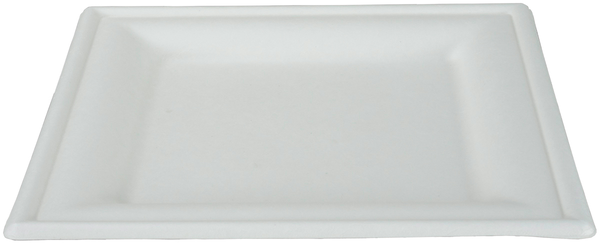 EJS Assiette en bagasse 20x20cm 3142.2009 50 blanc 50 pcs.