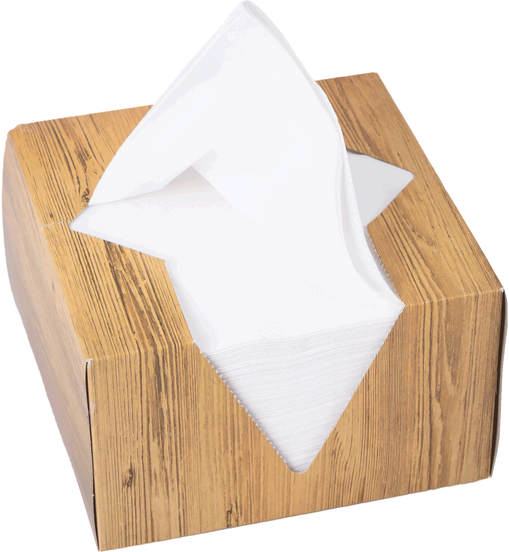 ELCO Boîte à serviettes 33x33cm 33402100-001 3 plis, blanc 100pcs.