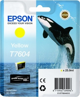 photo de l'article 760980