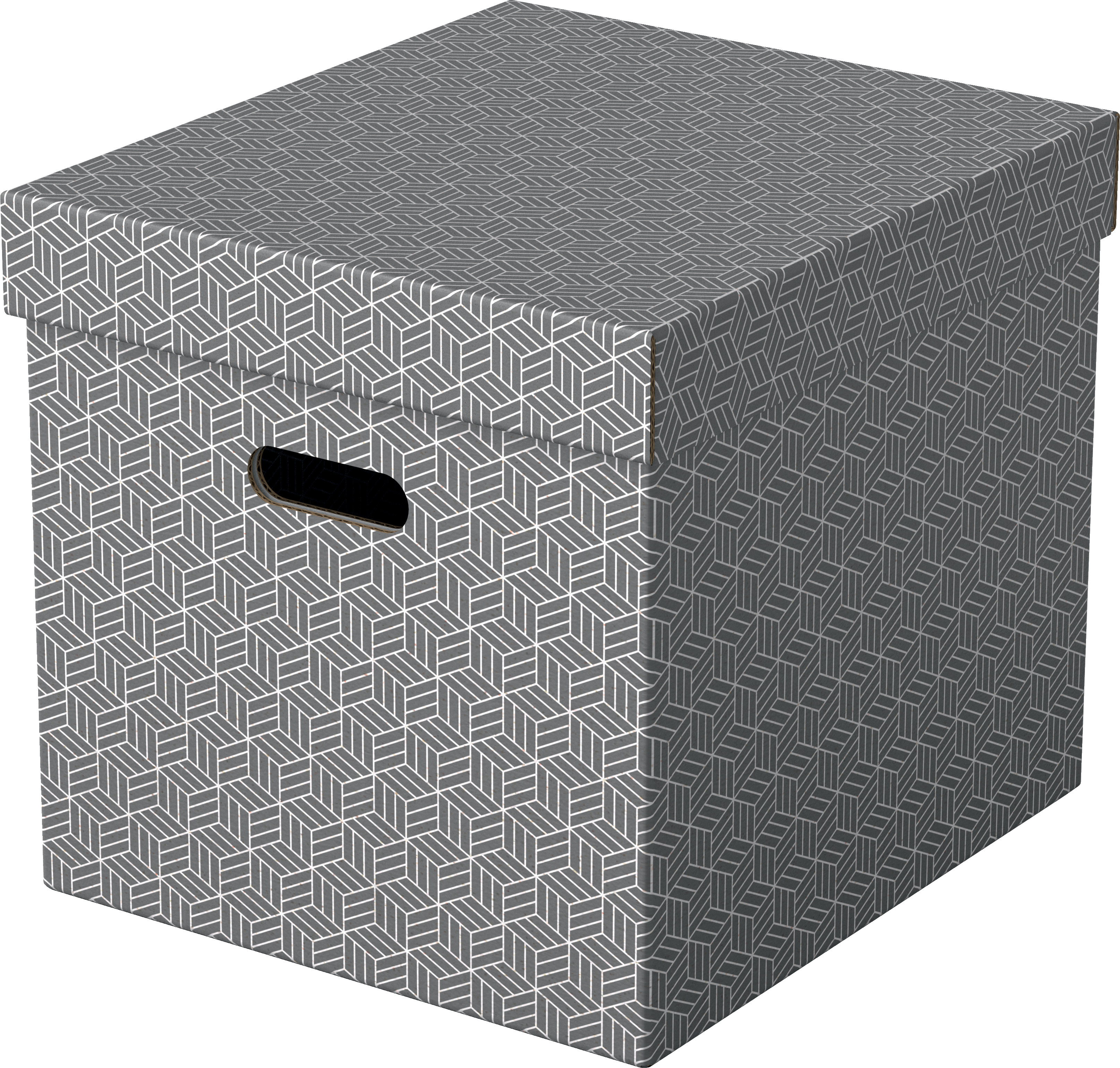 ESSELTE Boîte de rangement Home Cube 628289 365x320x315mm, gris 3 pcs