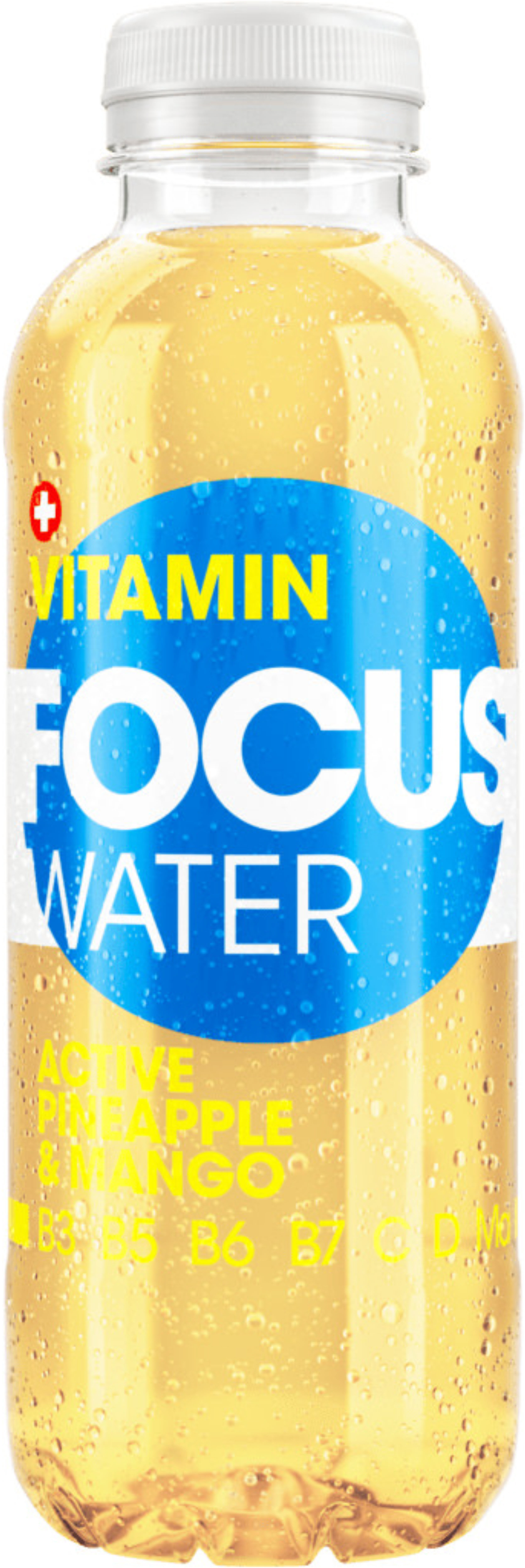 photo FOCUS Active Pineapple/Mango, Pet 8840 50 cl, 12 pcs.
