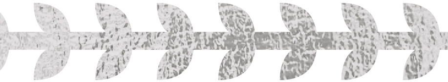 Ansicht 4