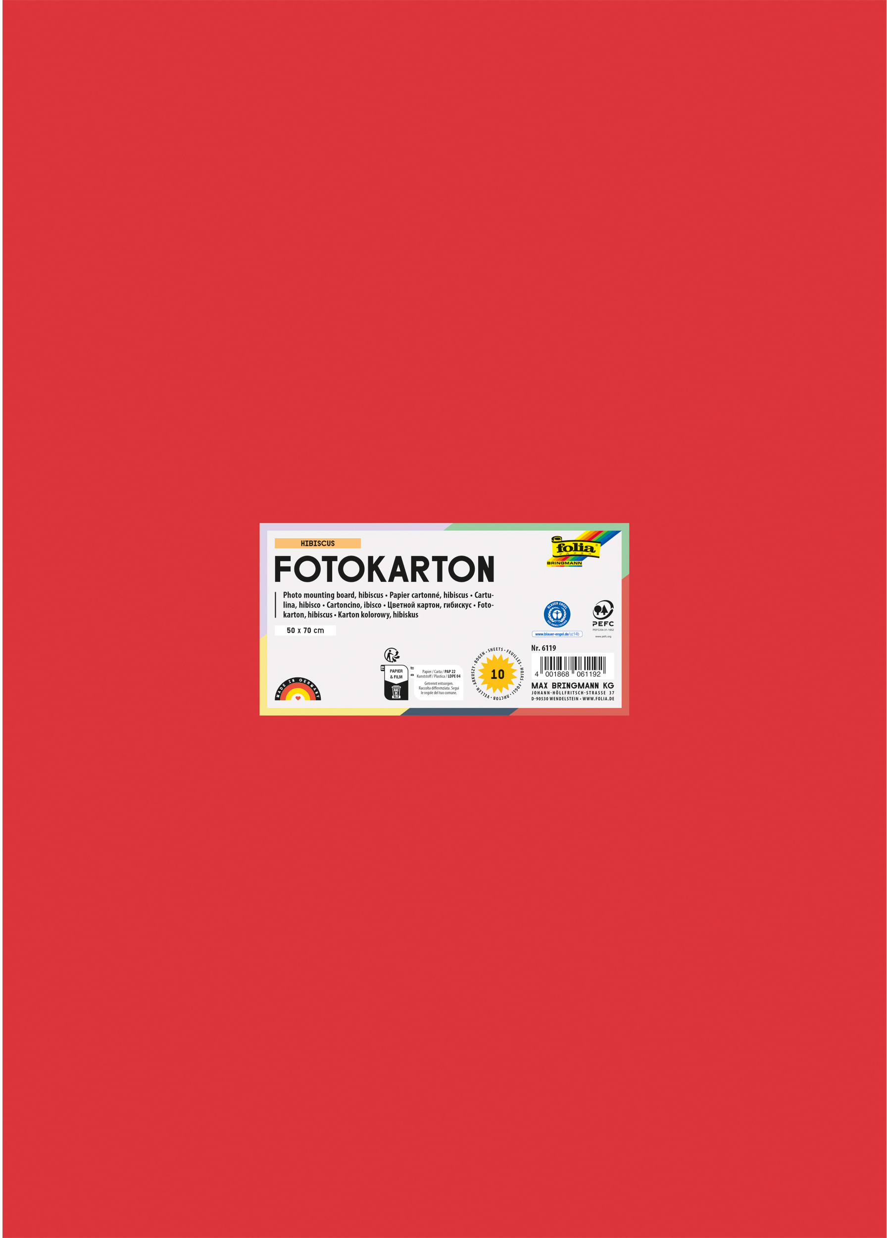 FOLIA Fotokarton 50x70cm 6119 300g, hibiscus